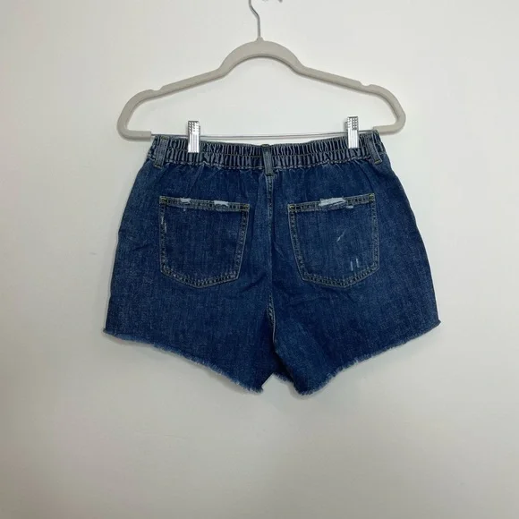 NWT Aerie Daydream Denim Distressed Shorts M - Picture 9 of 13
